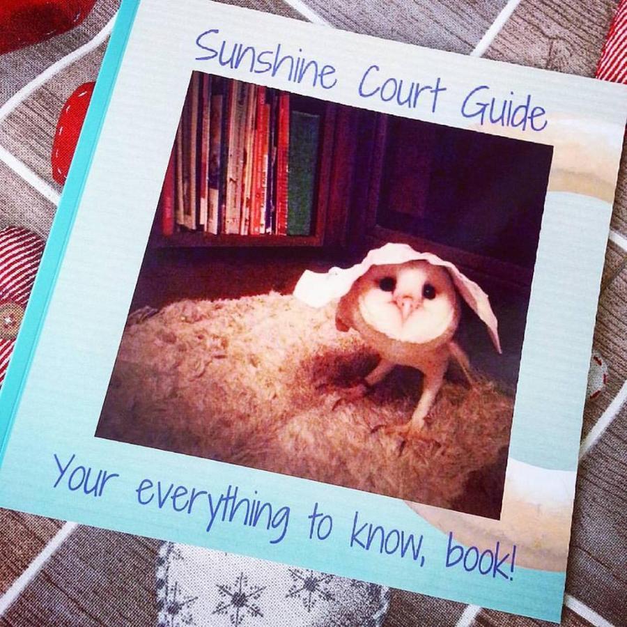 مبيت وإفطار خليج سانت بول Sunshine Court المظهر الخارجي الصورة